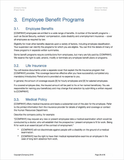 Employee Handbook Template (Apple iWork Pages/Numbers)