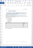 Business Case Template (MS Office)