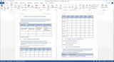 Capacity Plan Template (MS Office)