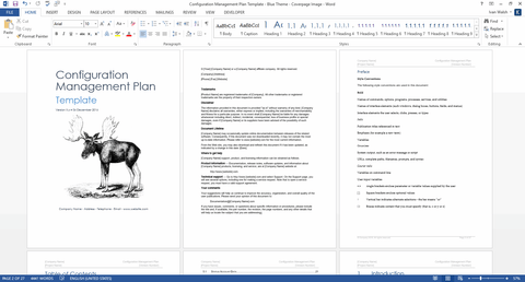 Configuration Management Plan Templates (MS Office)