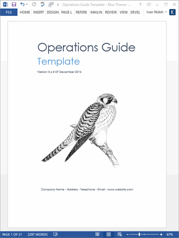 Operations Plan Template (MS Office)